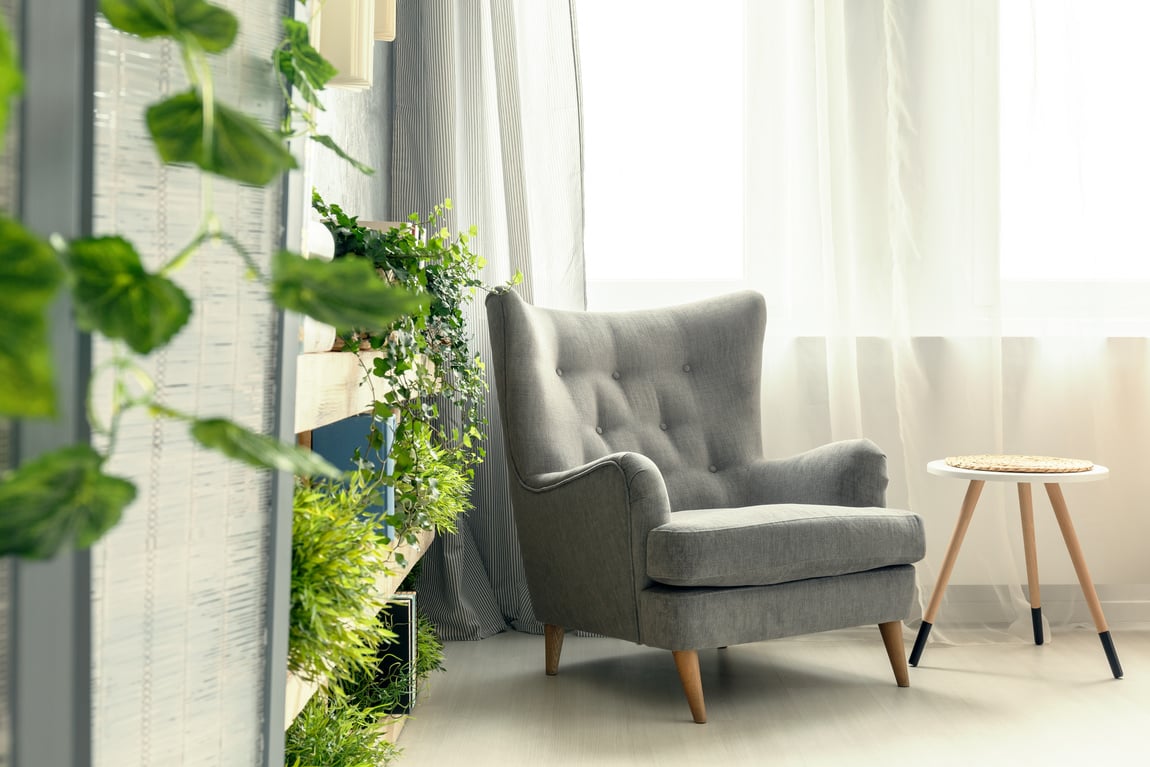 Armchair and plants